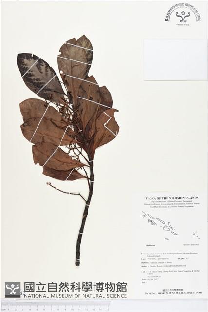 登錄號:BS01967藏品圖，第1張