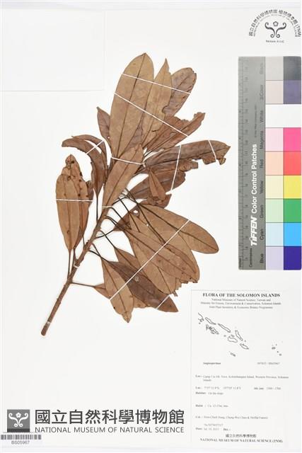 登錄號:BS05967藏品圖，第1張