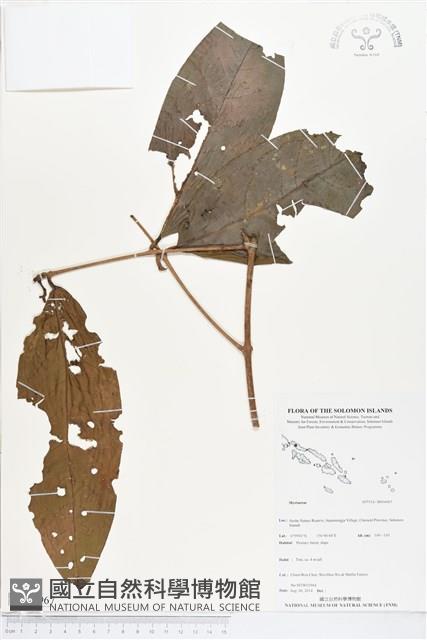 登錄號:BS04967藏品圖，第1張