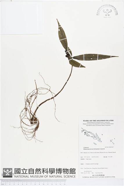 登錄號:BS03967藏品圖，第1張