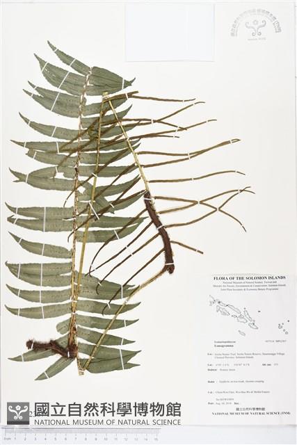 登錄號:BP02367藏品圖，第1張