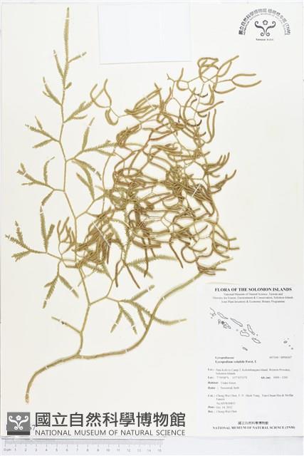 登錄號:BP00367藏品圖，第1張