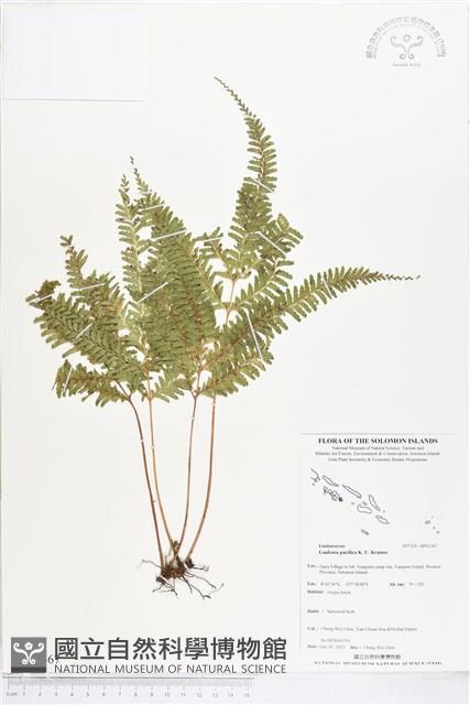 登錄號:BP01367藏品圖，第1張