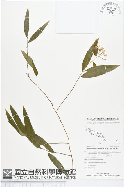 登錄號:BS01367藏品圖，第1張