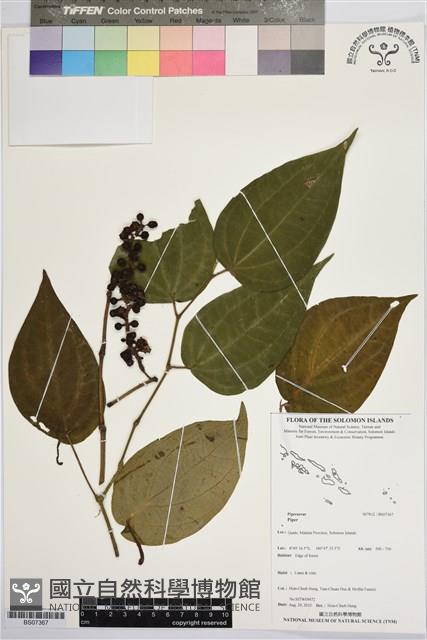 登錄號:BS07367藏品圖，第1張