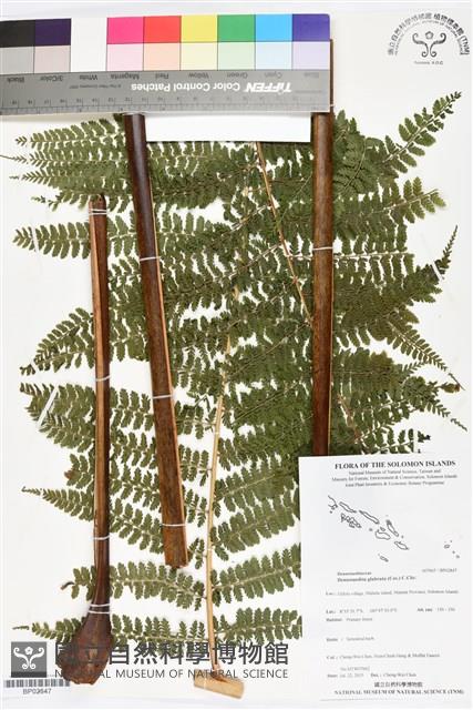 登錄號:BP02847藏品圖，第1張