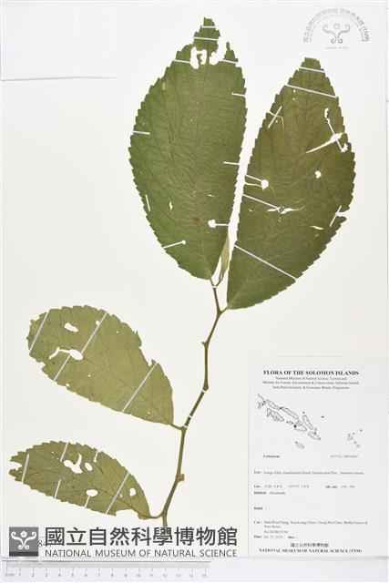 登錄號:BS04847藏品圖，第1張