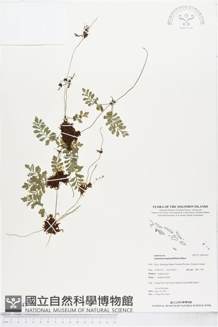 登錄號:BP01047藏品圖，第1張