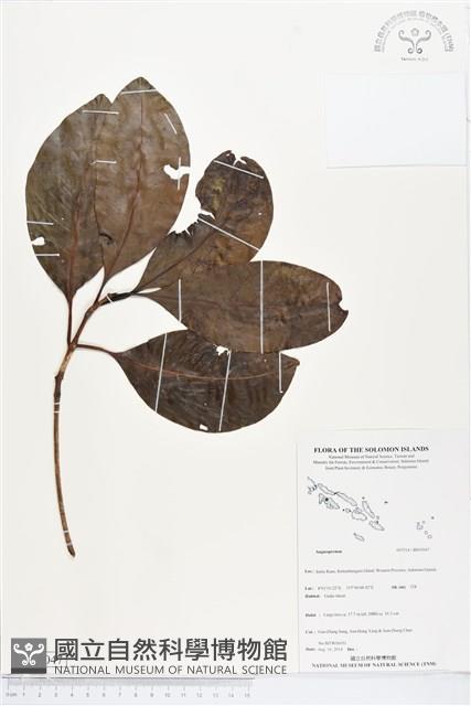 登錄號:BS05047藏品圖，第1張