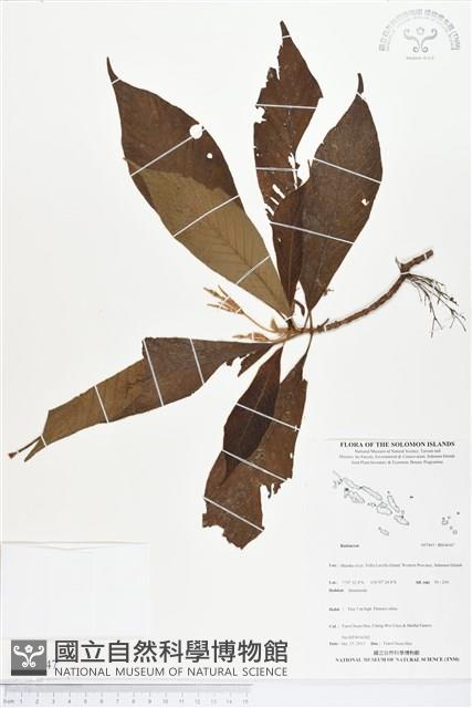 登錄號:BS04047藏品圖，第1張