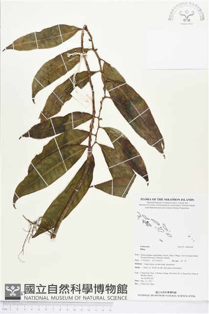 登錄號:BS03047藏品圖，第1張