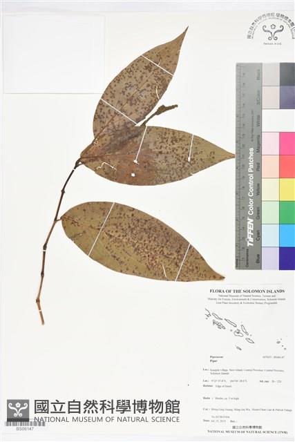 登錄號:BS06147藏品圖，第1張