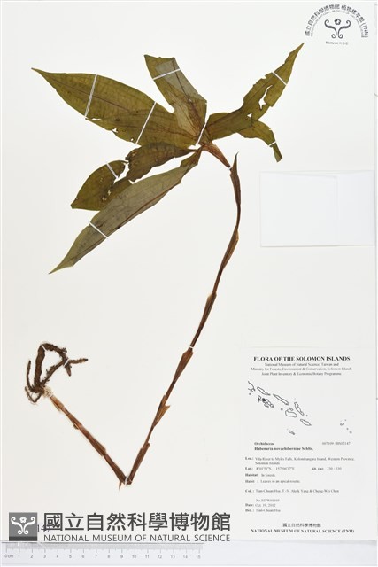 登錄號:BS02147藏品圖，第1張