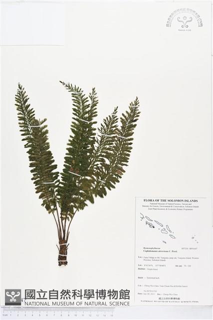 登錄號:BP01447藏品圖，第1張