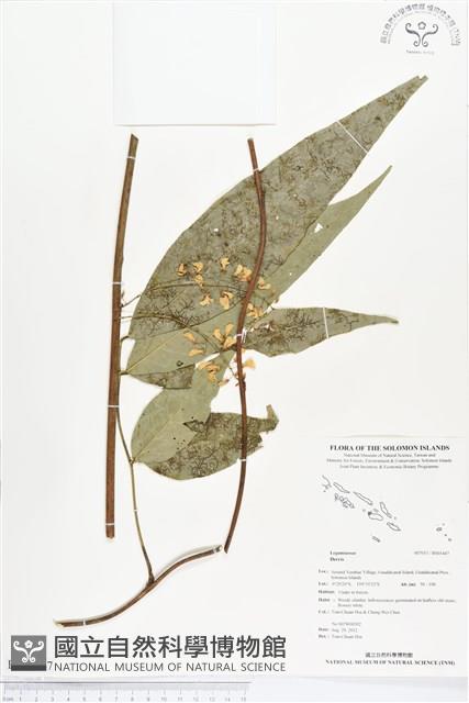 登錄號:BS01447藏品圖，第1張