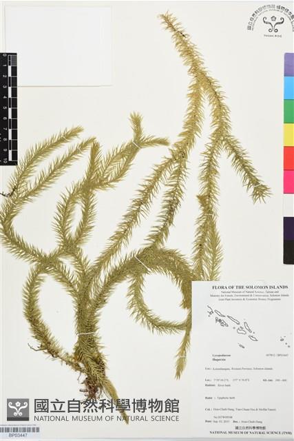 登錄號:BP03447藏品圖，第1張