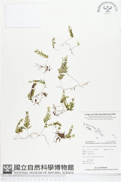 登錄號:BP00247藏品圖，第1張