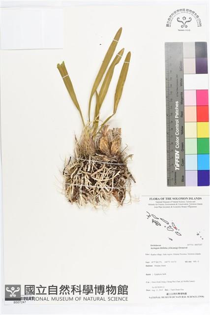 登錄號:BS07247藏品圖，第1張