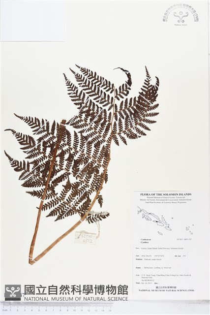 登錄號:BP01747藏品圖，第1張