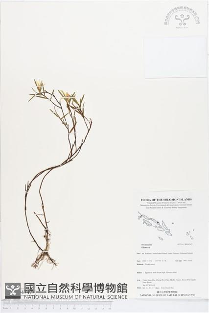 登錄號:BS04747藏品圖，第1張