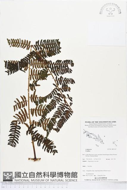 登錄號:BP01547藏品圖，第1張