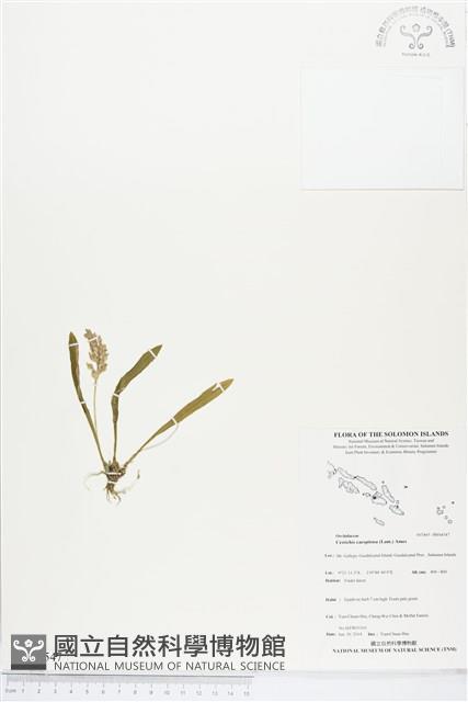 登錄號:BS04547藏品圖，第1張