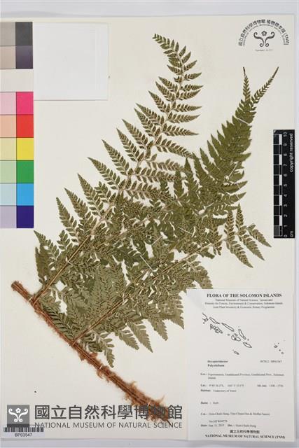 登錄號:BP03547藏品圖，第1張