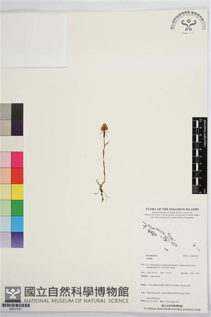 登錄號:BS07547藏品圖，第1張