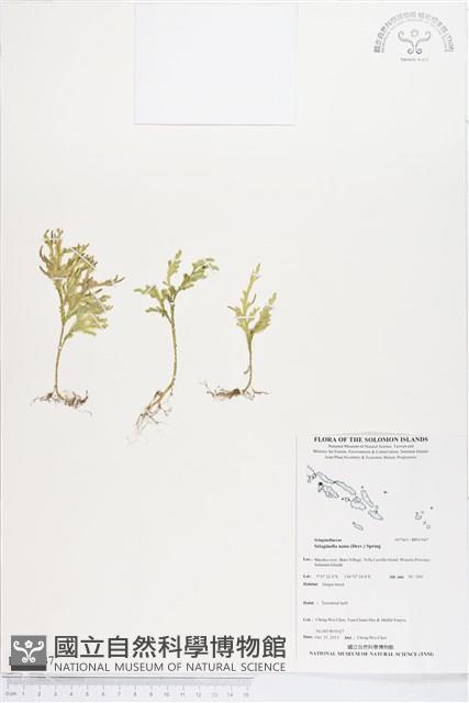 登錄號:BP01947藏品圖，第1張