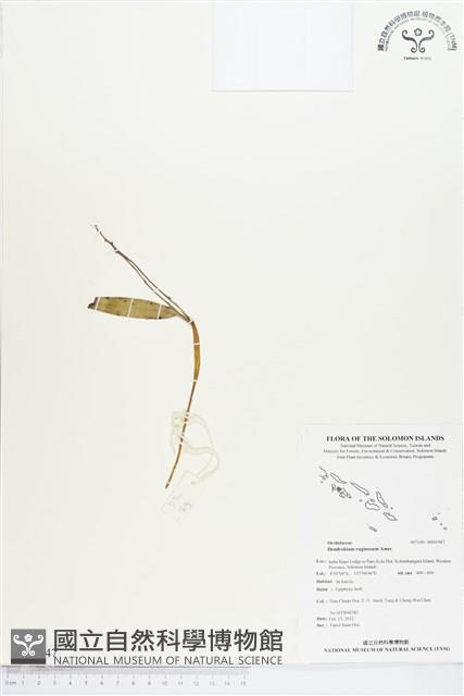 登錄號:BS01947藏品圖，第1張