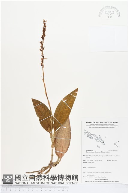 登錄號:BS03947藏品圖，第1張