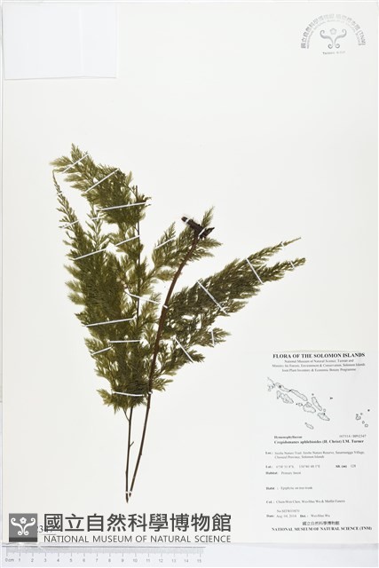 登錄號:BP02347藏品圖，第1張