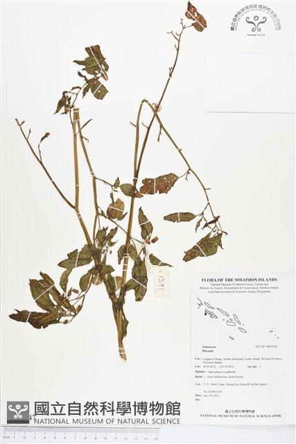 登錄號:BS02347藏品圖，第1張