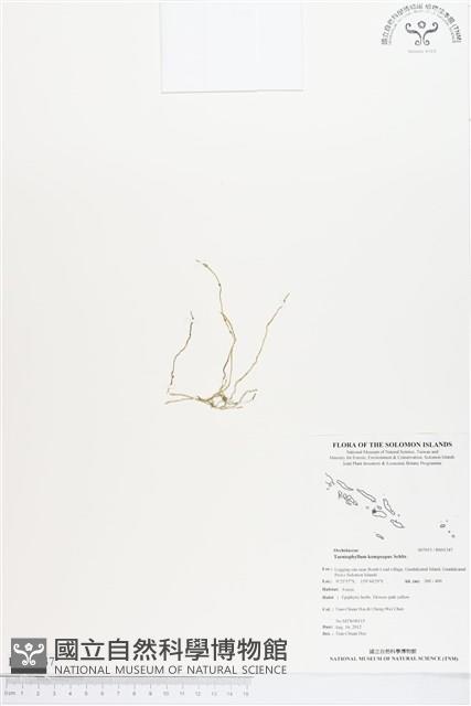 登錄號:BS01347藏品圖，第1張