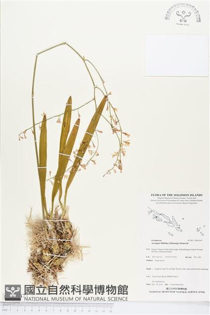 登錄號:BS04347藏品圖，第1張