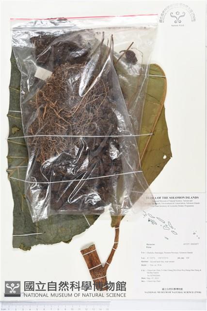 登錄號:BS02877藏品圖，第1張