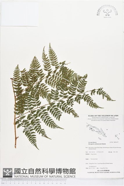 登錄號:BP01877藏品圖，第1張