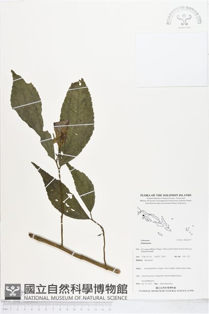 登錄號:BS04077藏品圖，第1張
