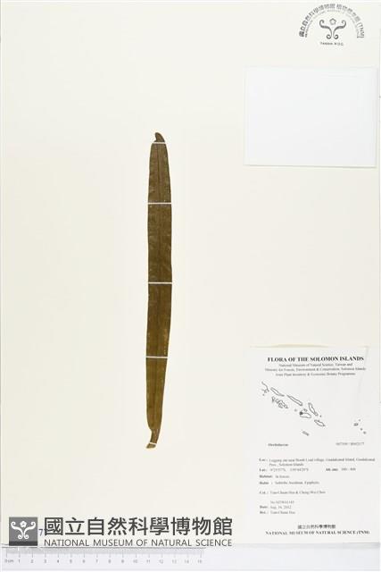 登錄號:BS02177藏品圖，第1張