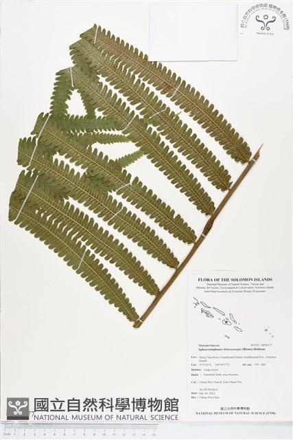 登錄號:BP00177藏品圖，第1張