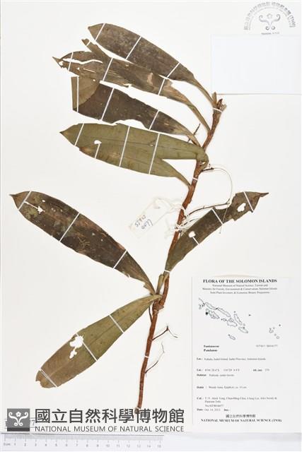 登錄號:BS04177藏品圖，第1張