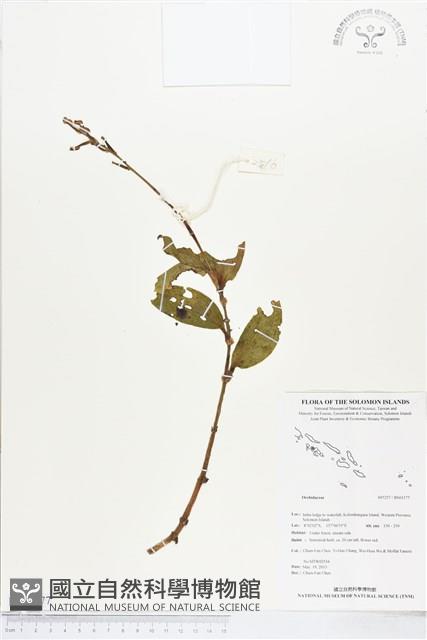 登錄號:BS03177藏品圖，第1張