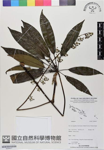 登錄號:BS06477藏品圖，第1張