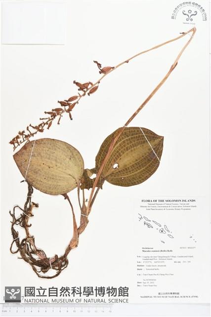 登錄號:BS01477藏品圖，第1張