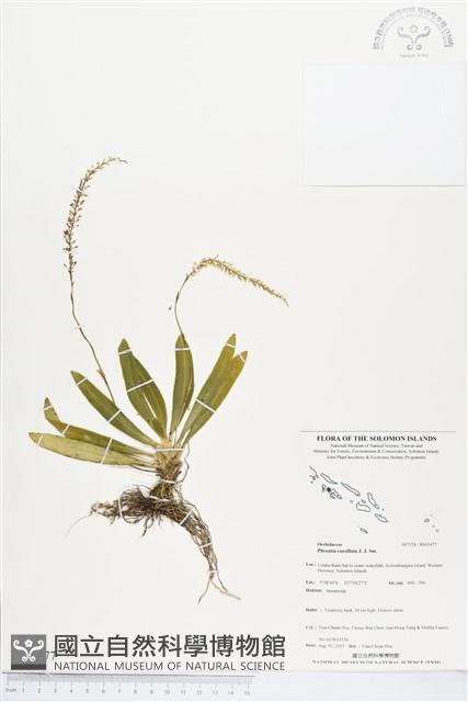 登錄號:BS03477藏品圖，第1張