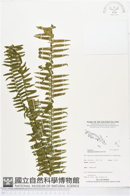 登錄號:BP02277藏品圖，第1張