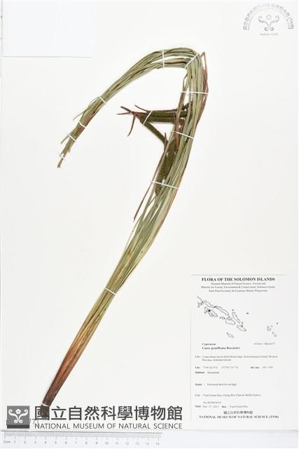 登錄號:BS04277藏品圖，第1張