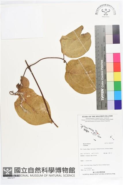 登錄號:BS07277藏品圖，第1張