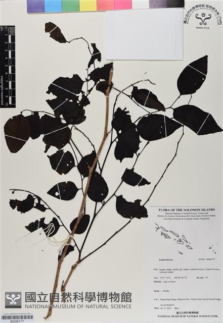登錄號:BS06777藏品圖，第1張