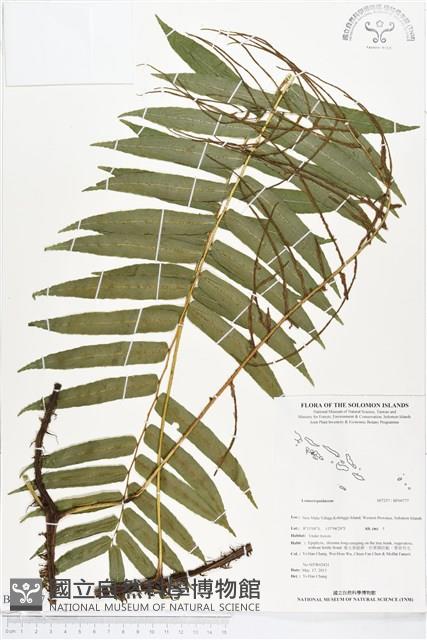 登錄號:BP00777藏品圖，第1張